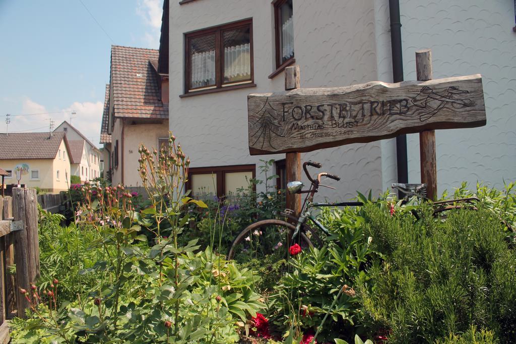 Haus Am Bergli Apartment Herbolzheim Cameră foto