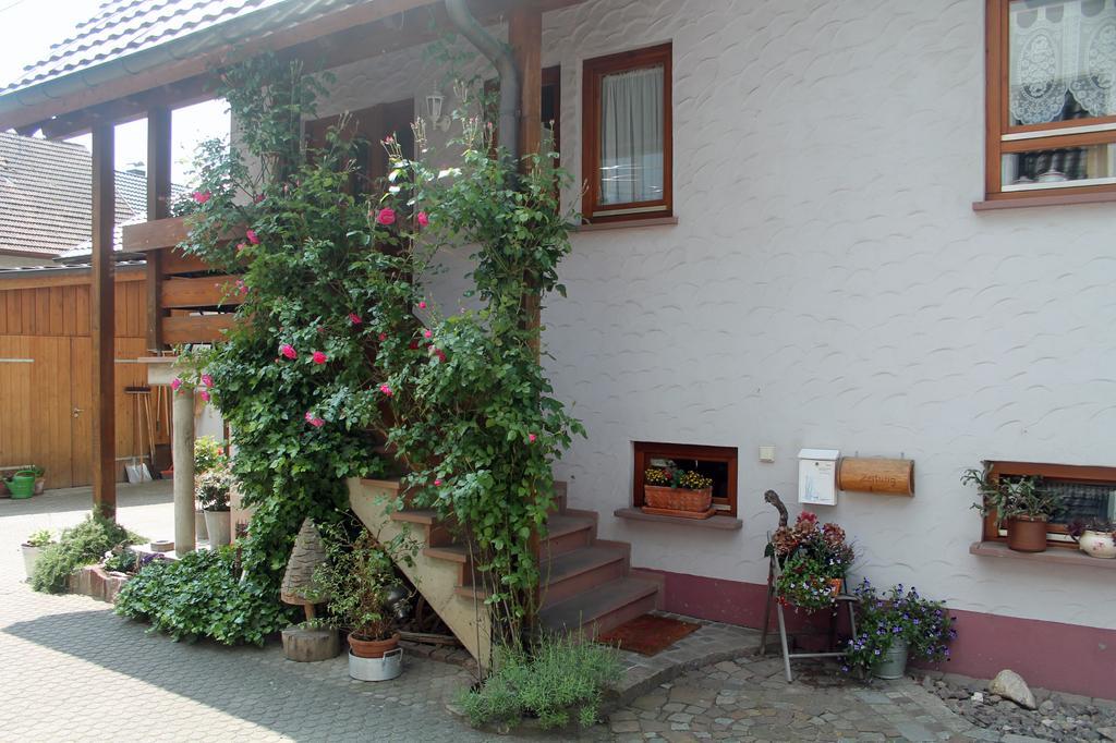 Haus Am Bergli Apartment Herbolzheim Cameră foto