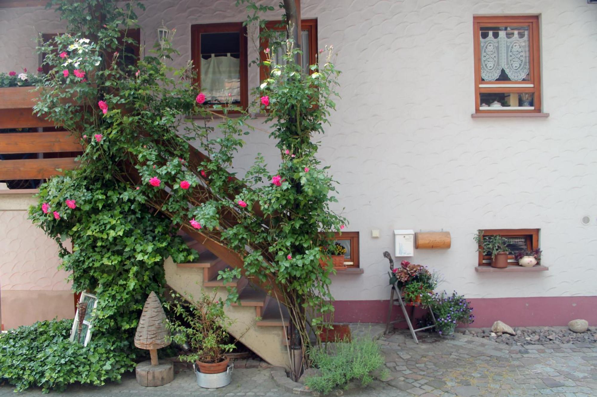 Haus Am Bergli Apartment Herbolzheim Exterior foto